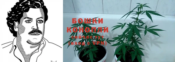 спайс Медвежьегорск
