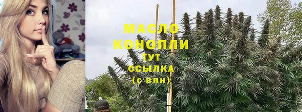 гидропоника Медногорск