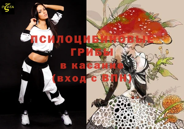 гидропоника Медногорск