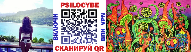 Галлюциногенные грибы Magic Shrooms Купить закладки Новоалександровск